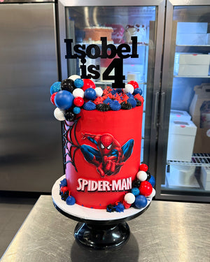 Themed Kid's Cakes